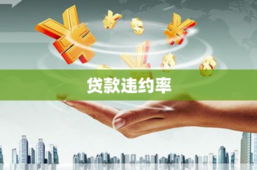 铜仁贷款违约率