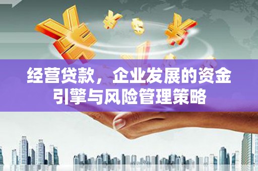 铜仁经营贷款，企业发展的资金引擎与风险管理策略