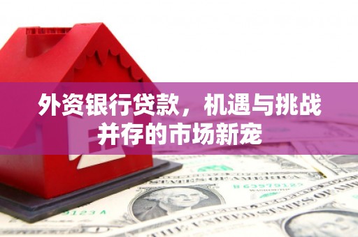 铜仁外资银行贷款，机遇与挑战并存的市场新宠