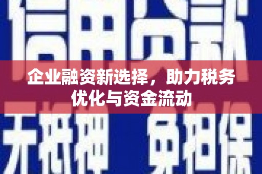 铜仁企业融资新选择，助力税务优化与资金流动