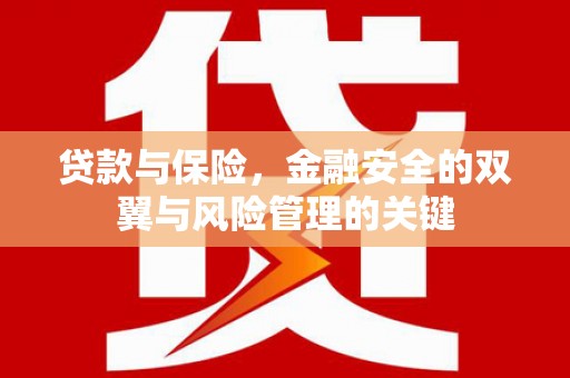 铜仁贷款与保险，金融安全的双翼与风险管理的关键