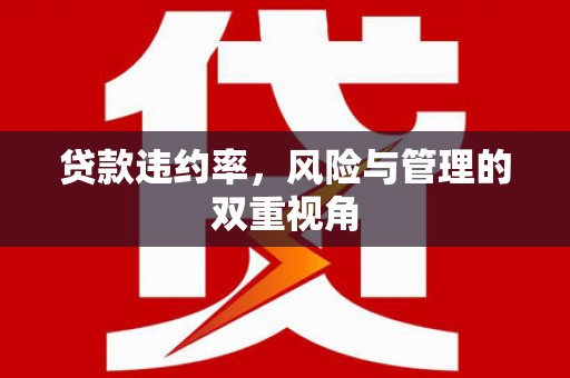 铜仁贷款违约率，风险与管理的双重视角