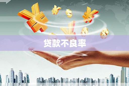铜仁贷款不良率