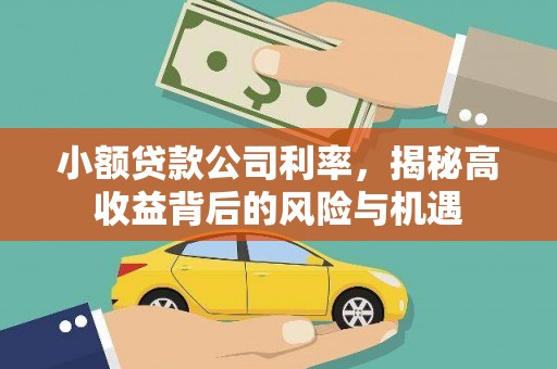 铜仁小额贷款公司利率，揭秘高收益背后的风险与机遇