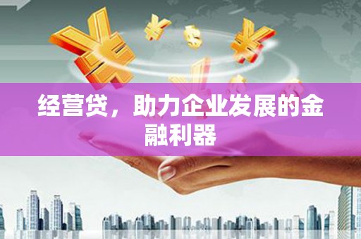 铜仁经营贷，助力企业发展的金融利器