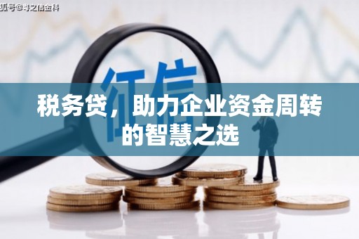 铜仁税务贷，助力企业资金周转的智慧之选