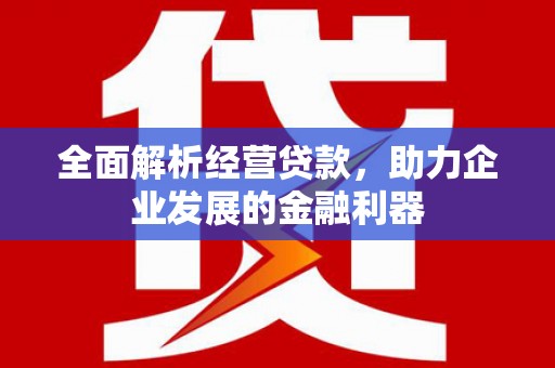铜仁全面解析经营贷款，助力企业发展的金融利器