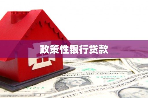 铜仁政策性银行贷款