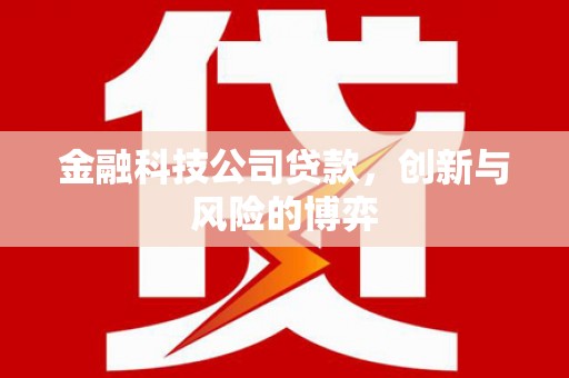 铜仁金融科技公司贷款，创新与风险的博弈