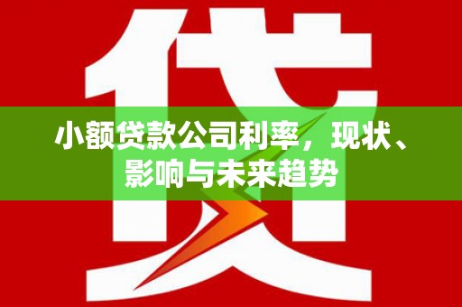 铜仁小额贷款公司利率，现状、影响与未来趋势