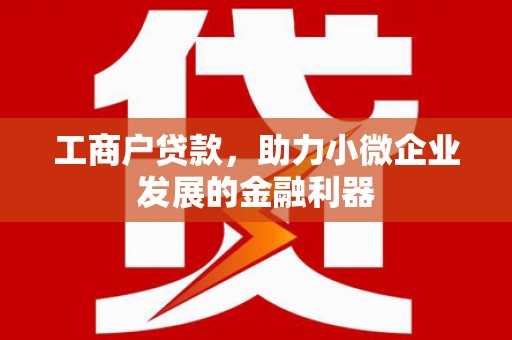 铜仁工商户贷款，助力小微企业发展的金融利器