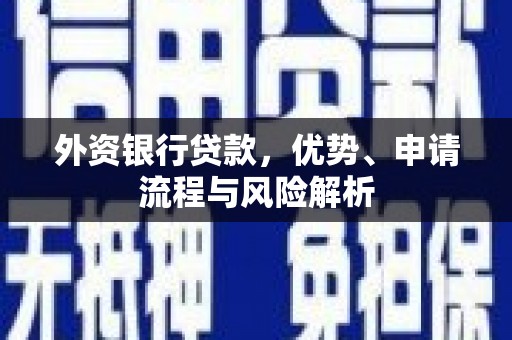铜仁外资银行贷款，优势、申请流程与风险解析