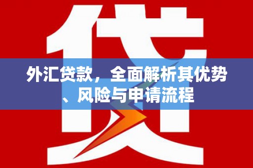 铜仁外汇贷款，全面解析其优势、风险与申请流程