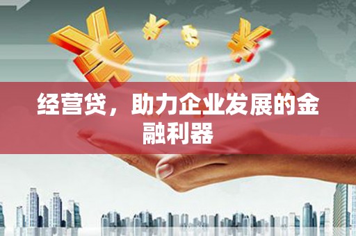 铜仁经营贷，助力企业发展的金融利器