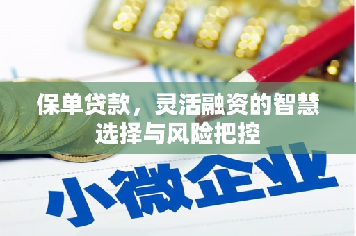 铜仁保单贷款，灵活融资的智慧选择与风险把控