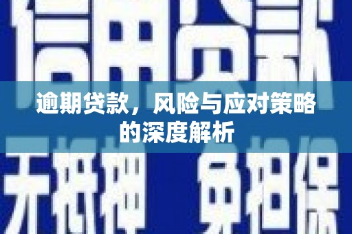 铜仁逾期贷款，风险与应对策略的深度解析