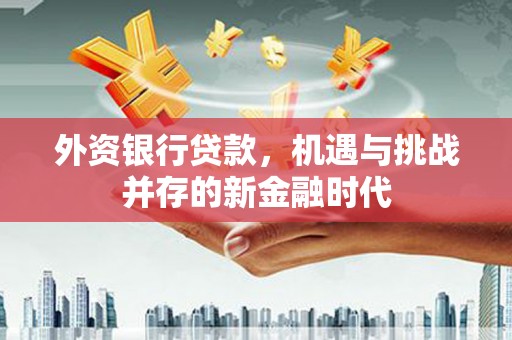 铜仁外资银行贷款，机遇与挑战并存的新金融时代