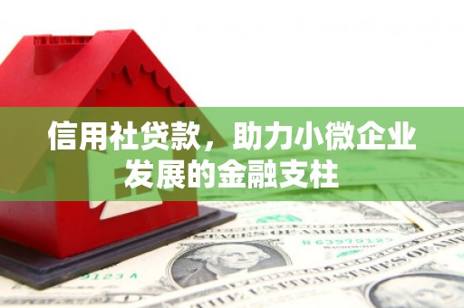 铜仁信用社贷款，助力小微企业发展的金融支柱