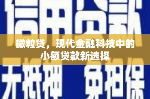 铜仁微粒贷，现代金融科技中的小额贷款新选择