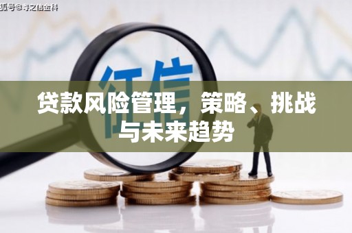 铜仁贷款风险管理，策略、挑战与未来趋势