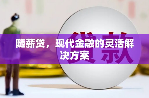 铜仁随薪贷，现代金融的灵活解决方案