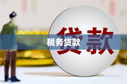 铜仁税务贷款