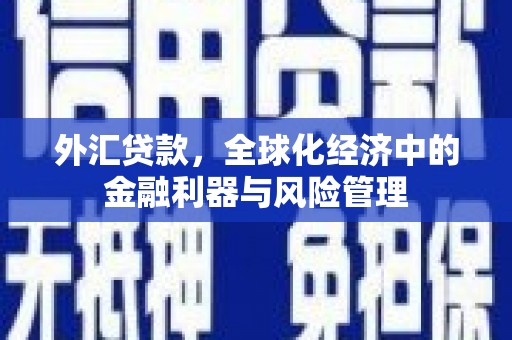 铜仁外汇贷款，全球化经济中的金融利器与风险管理