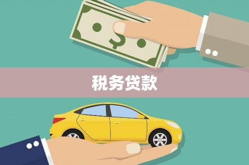 铜仁税务贷款