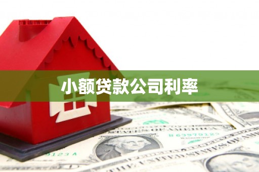 铜仁小额贷款公司利率