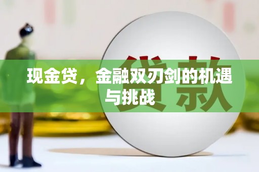 铜仁现金贷，金融双刃剑的机遇与挑战