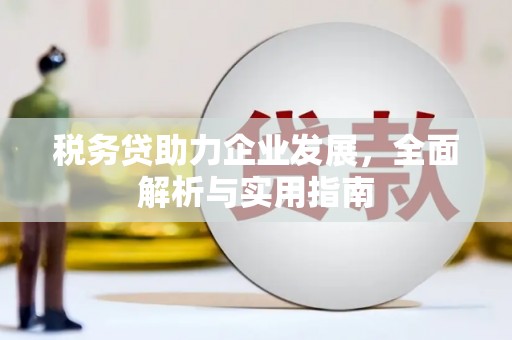 铜仁税务贷助力企业发展，全面解析与实用指南