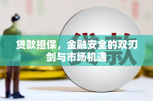 铜仁贷款担保，金融安全的双刃剑与市场机遇