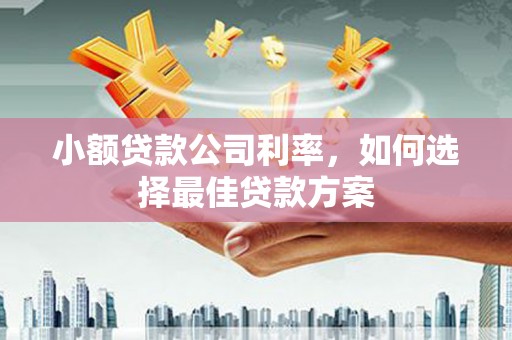 铜仁小额贷款公司利率，如何选择最佳贷款方案