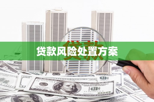 铜仁贷款风险处置方案