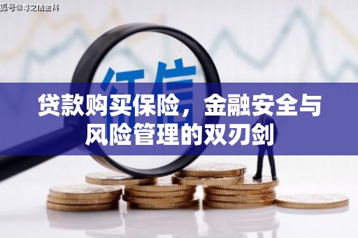 铜仁贷款购买保险，金融安全与风险管理的双刃剑