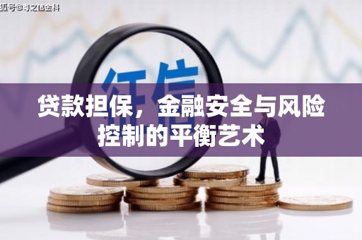 铜仁贷款担保，金融安全与风险控制的平衡艺术