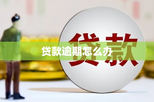 铜仁贷款逾期怎么办