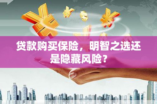 铜仁贷款购买保险，明智之选还是隐藏风险？