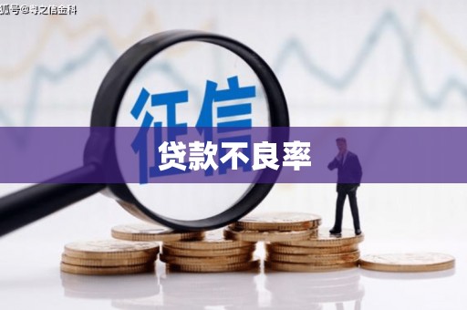 铜仁贷款不良率