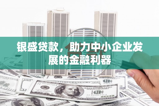 铜仁银盛贷款，助力中小企业发展的金融利器