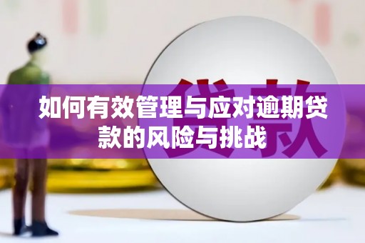 铜仁如何有效管理与应对逾期贷款的风险与挑战