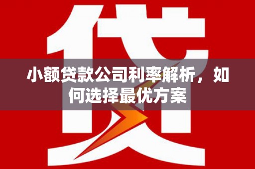 铜仁小额贷款公司利率解析，如何选择最优方案