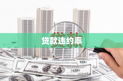 铜仁贷款违约率