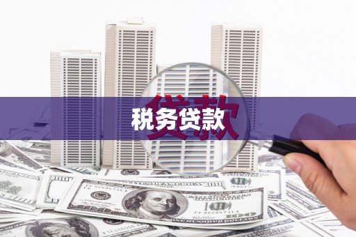 铜仁税务贷款
