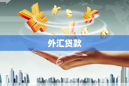 铜仁外汇贷款