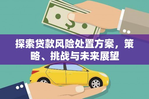 铜仁探索贷款风险处置方案，策略、挑战与未来展望