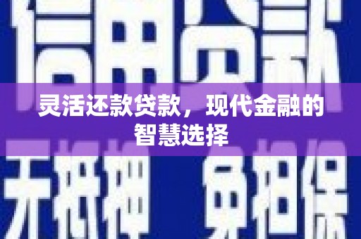 铜仁灵活还款贷款，现代金融的智慧选择