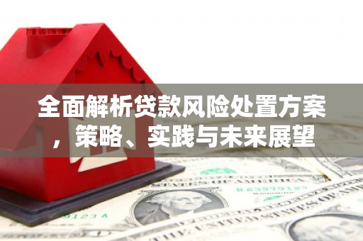铜仁全面解析贷款风险处置方案，策略、实践与未来展望