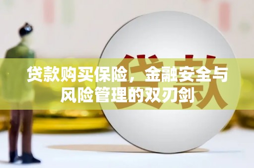 铜仁贷款购买保险，金融安全与风险管理的双刃剑
