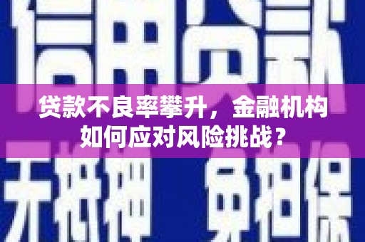 铜仁贷款不良率攀升，金融机构如何应对风险挑战？